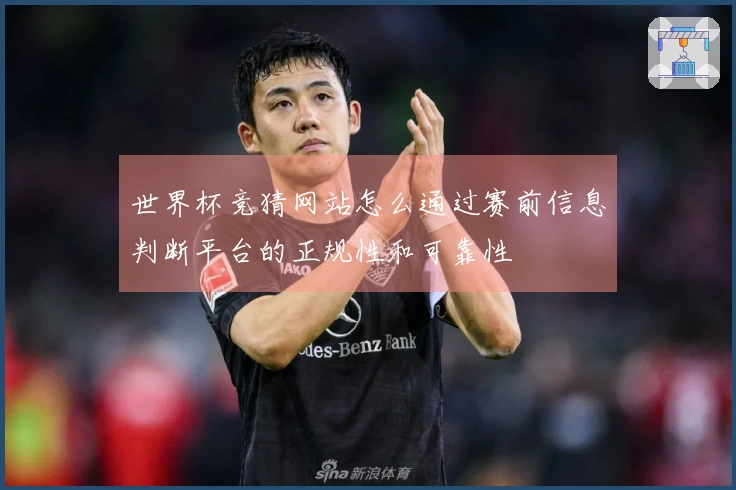 世界杯竞猜网站怎么通过赛前信息判断平台的正规性和可靠性