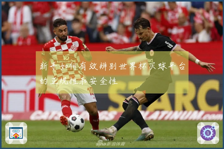 新手如何有效辨别世界杯买球平台的正规性和安全性
