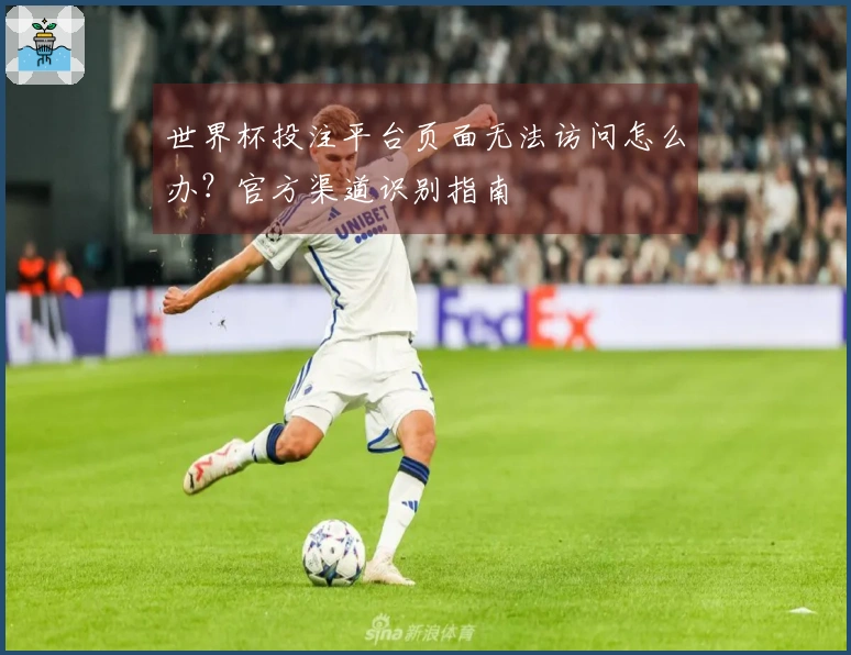 世界杯投注平台页面无法访问怎么办？官方渠道识别指南