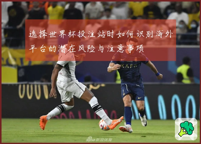 选择世界杯投注站时如何识别海外平台的潜在风险与注意事项