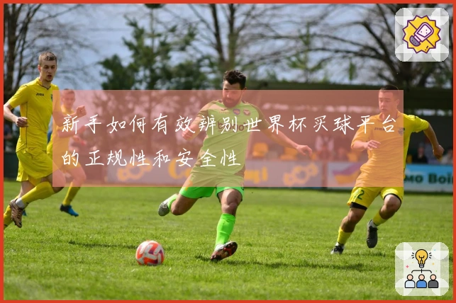 新手如何有效辨别世界杯买球平台的正规性和安全性
