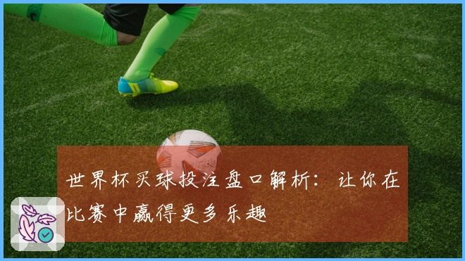 世界杯买球投注盘口解析：让你在比赛中赢得更多乐趣