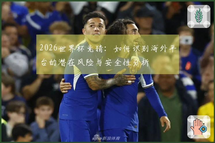 2026世界杯竞猜：如何识别海外平台的潜在风险与安全性分析