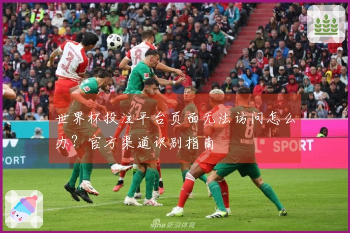 世界杯投注平台页面无法访问怎么办？官方渠道识别指南