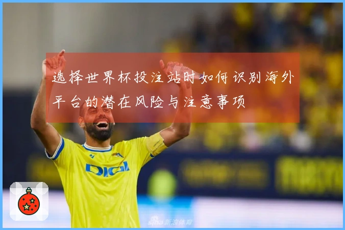 选择世界杯投注站时如何识别海外平台的潜在风险与注意事项