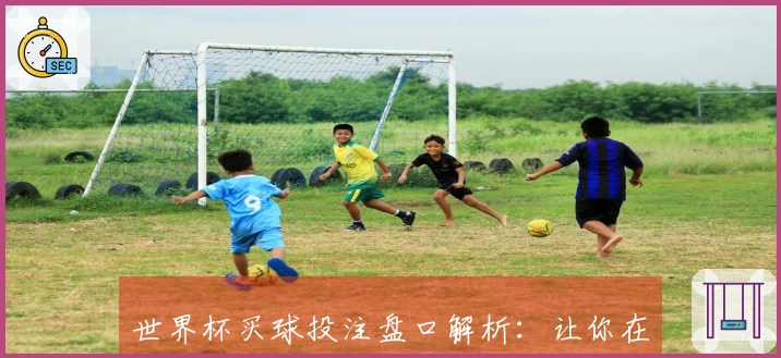 世界杯买球投注盘口解析：让你在比赛中赢得更多乐趣