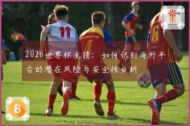 2026世界杯竞猜：如何识别海外平台的潜在风险与安全性分析